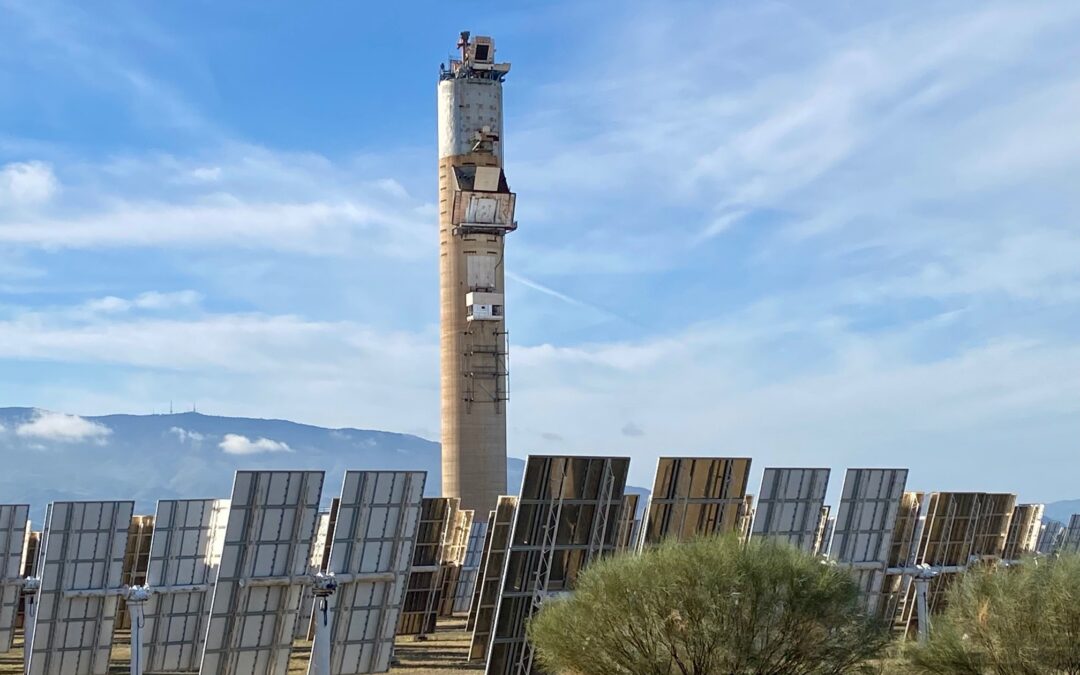 Atamostec consolida liderazgo científico-tecnológico tras exitosa participación en proyecto europeo CACTUS